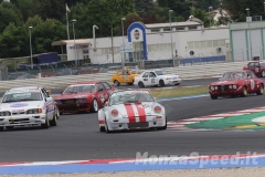 Campionato autostoriche Misano 2024 6