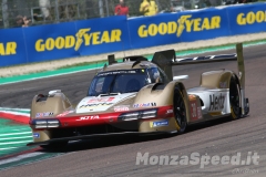 wec_imola_2024_672_20240502_1451627619