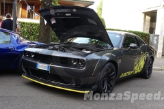 Raduno_auto_Vanzaghello_2026_30.jpg